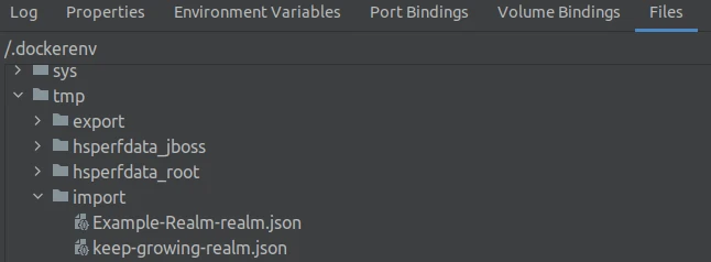 realms for directory import in the container
